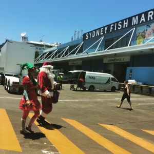 santa at the fish markets